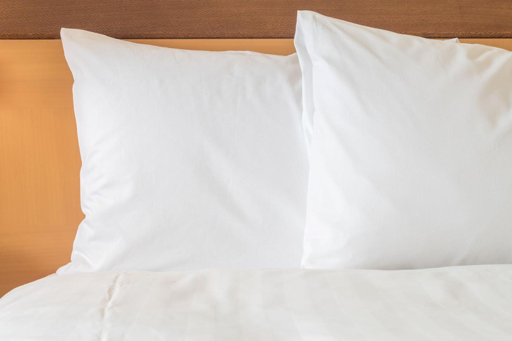 Hotel Detroit Metro Airport By Ihg 3*